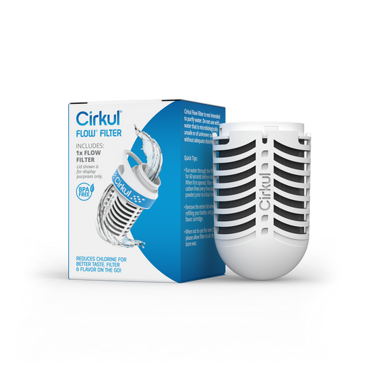 Flow Filter (6574)