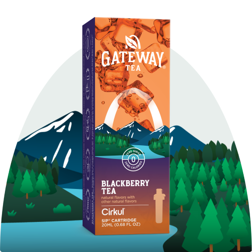 Gateway Blackberry Tea (JC6Q)